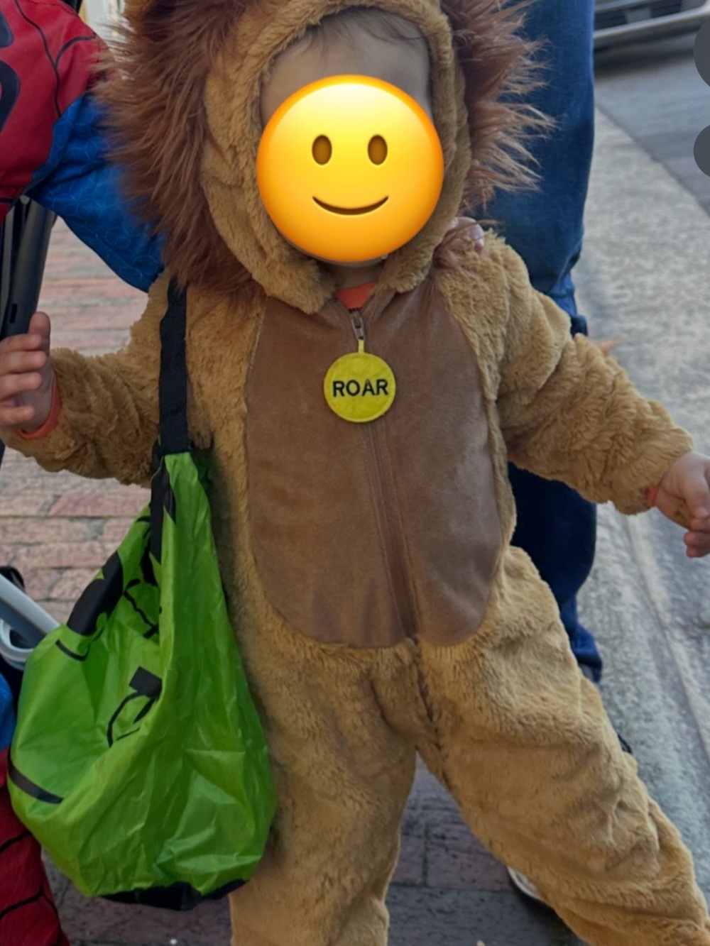 Plush Lion going wild Kids Costume with Hooded Mane - Brown